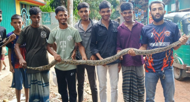 বোয়ালখালীতে ২ মাসে ৭টি অজগরসহ শতাতিক সাপ উদ্ধার 