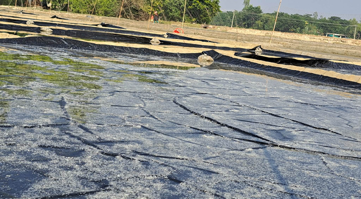 লবণের মাঠে চাষিদের হাহাকার