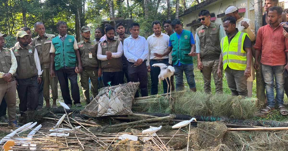 উখিয়ায় বনবিভাগের অভিযানে বিপুল শিকার সরঞ্জাম ধ্বংস
