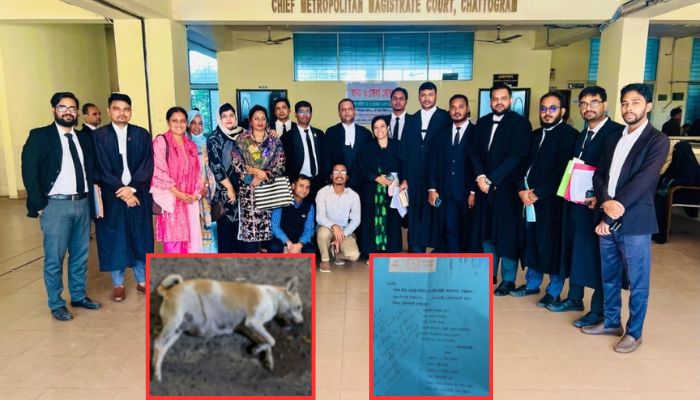 গাড়িচাপায় কুকুর হত্যা, গাড়িচালক-নিরাপত্তাকর্মীর বিরুদ্ধে মামলা