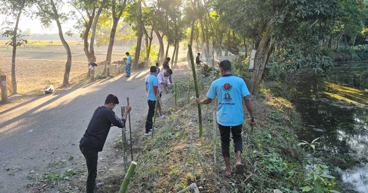 মিরসরাইয়ে কৃষক দলের বৃক্ষরোপণ কর্মসূচি 