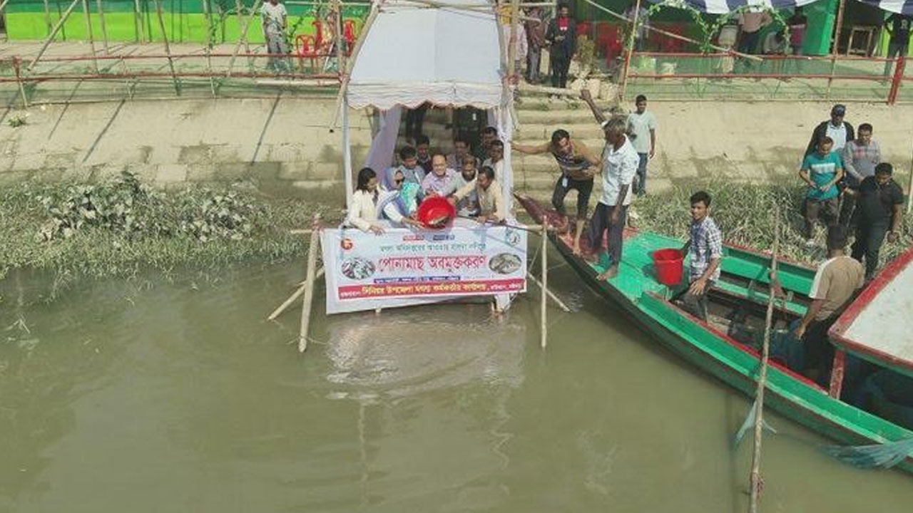 হালদা নদীতে ৭৫০ কেজি রুই মাছের পোনা অবমুক্ত