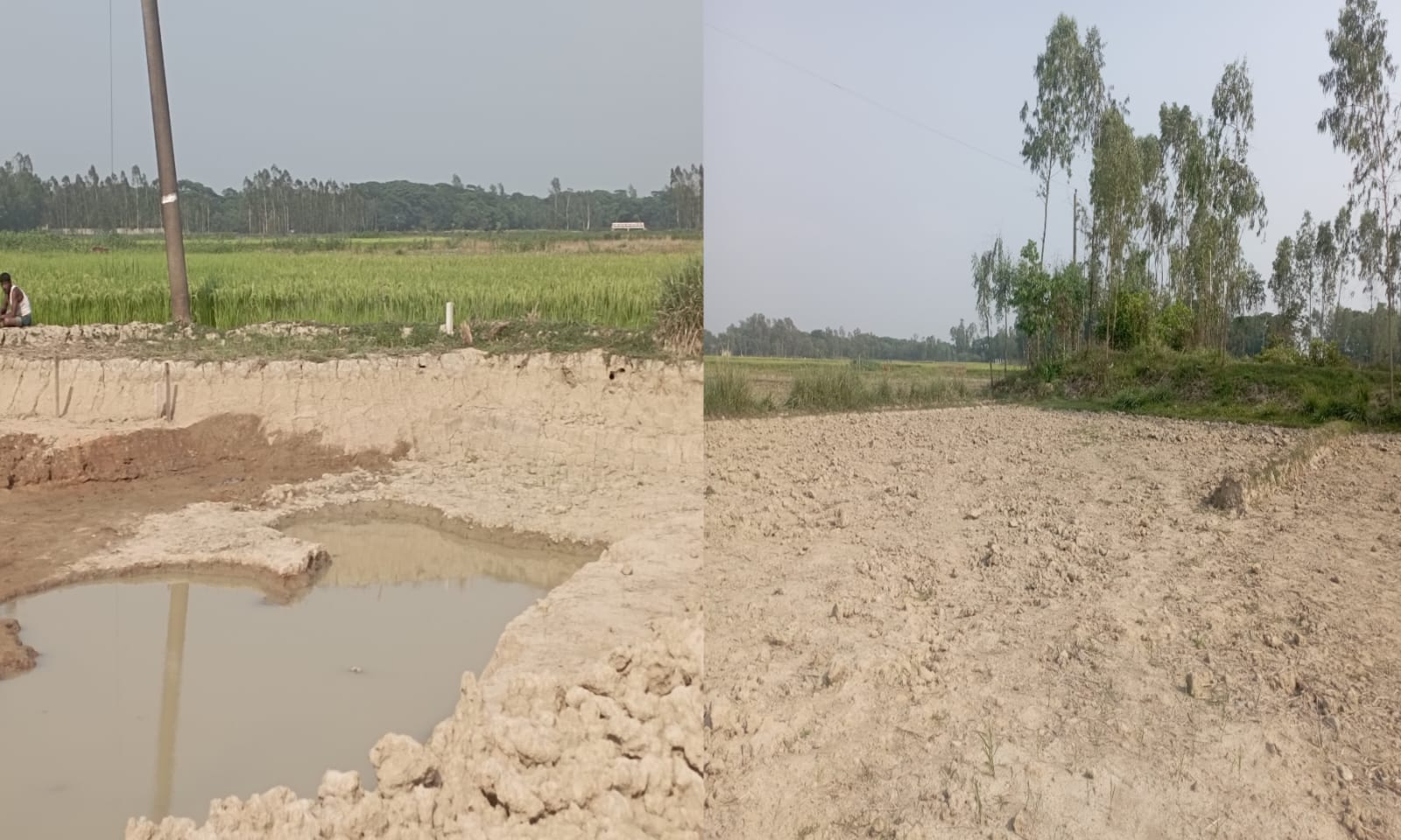 সাতকানিয়ায় জোরপূর্বক কৃষিজমি কর্তন, থানায় অভিযোগ 