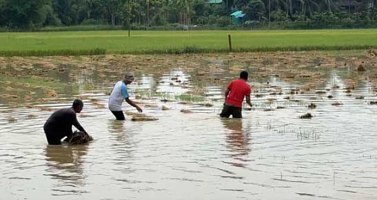 খাগড়াছড়িতে ভারী বৃষ্টি ও ঝড়