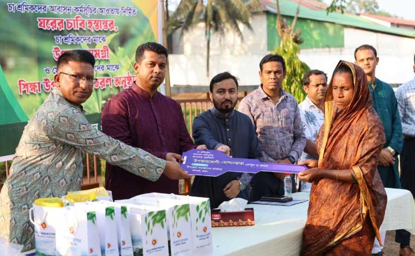 চা-শ্রমিকরা দেশের সম্পদ, তাদের জীবনমান উন্নয়ন জরুরি : ডিসি জাহিদ