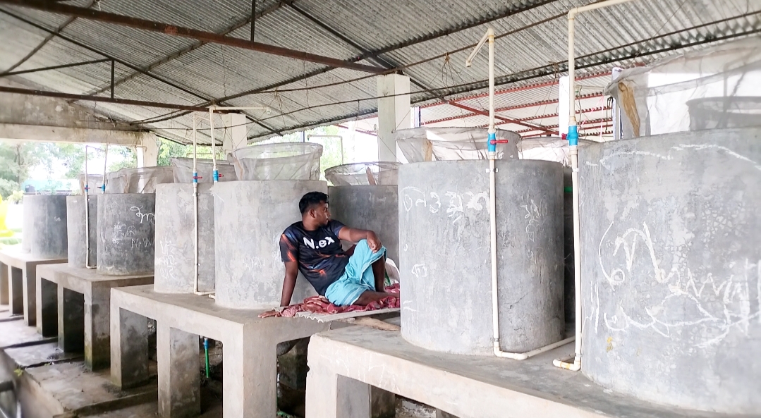 অচল জেনারেটর ও ট্যাংক লিকেজে রাউজানের হ্যাচারিতে দুর্ভোগ : ৪৬ কোটি টাকার প্রকল্পেও সংকট 