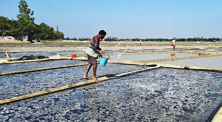 বৃষ্টির ধাক্কার সঙ্গে দাম কম, বিপাকে লবণচাষিরা