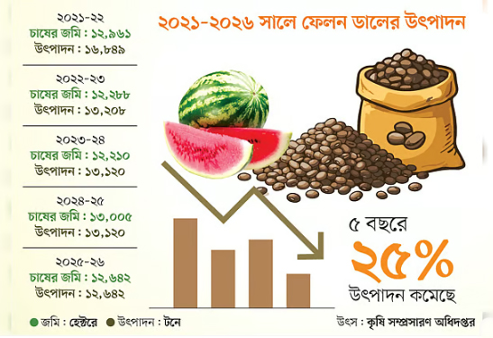 ফেলন ছেড়ে তরমুজ চাষে কেন ঝুঁকছেন চট্টগ্রামের কৃষকেরা