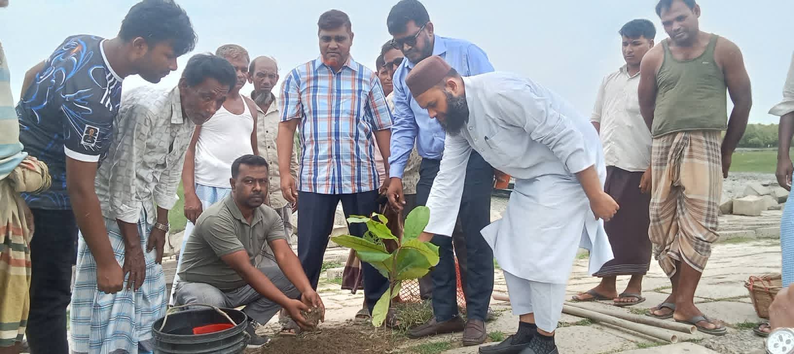  কুতুবদিয়ার বড়ঘোপে বৃক্ষরোপণ কর্মসূচি অনুষ্ঠিত