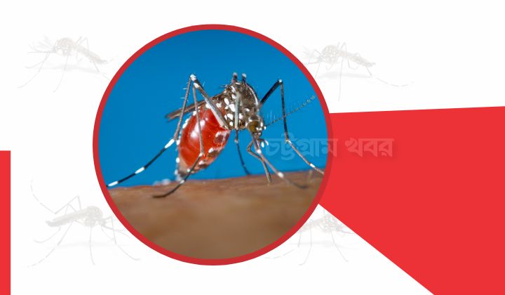আসন্ন বর্ষায় বন্দর নগরীতে ডেঙ্গুর প্রকোপ বাড়ার আশঙ্কা