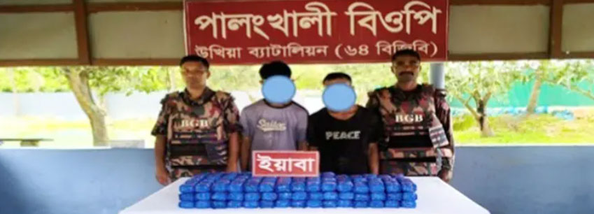 টেকনাফে ৩ লাখ ৫০ হাজার ইয়াবাসহ আটক ২