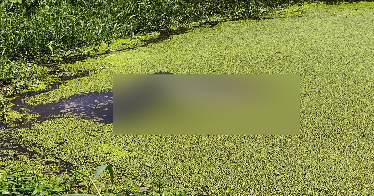 ডোবা থেকে অজ্ঞাত ব্যক্তির লাশ উদ্ধার