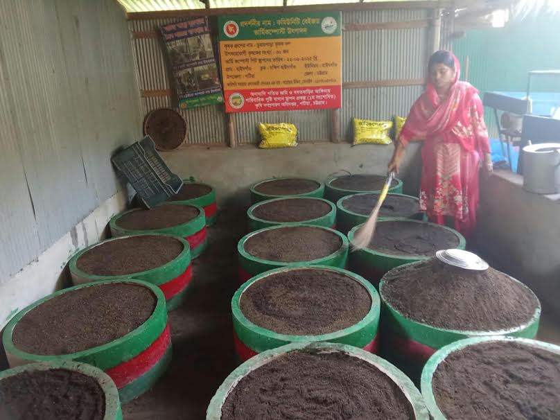 পটিয়ায় জৈব সার উৎপাদনে, সফল গৃহবধূ রুমা আকতার।