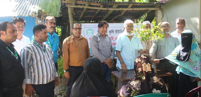  ৪৫০ পরিবারে মমতার মেহগনি গাছের চারা বিতরণ